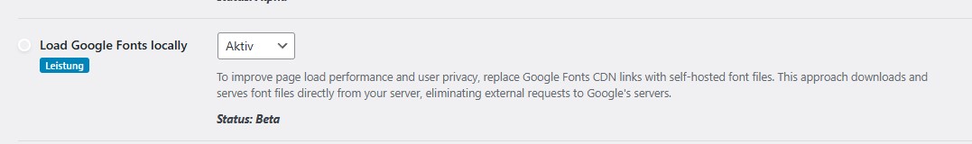 Ein Screenshot der neuen "Load Google Fonts locally" Option im WP Dashboard