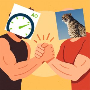 WP Fastest Cache und Autoptimize